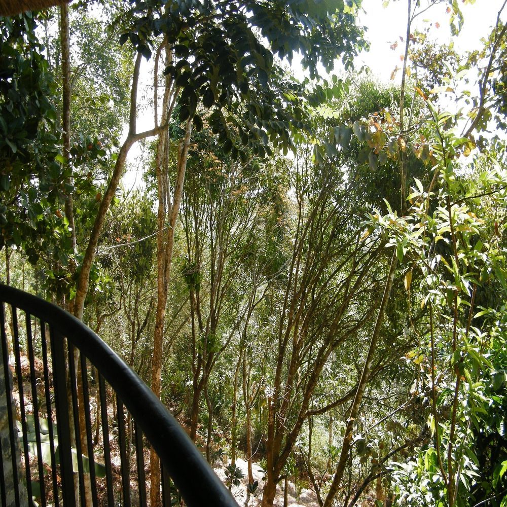 Poetree Thekkady Hotel Bagian luar foto